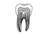 Sandar Dentists & Dental Clinics