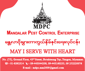 551_Mandalar_Pest_Control_Enterprise.png